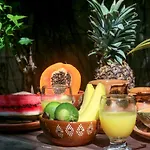 Cactus House