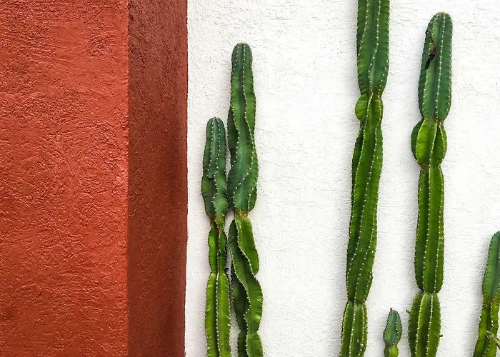 Cactus House