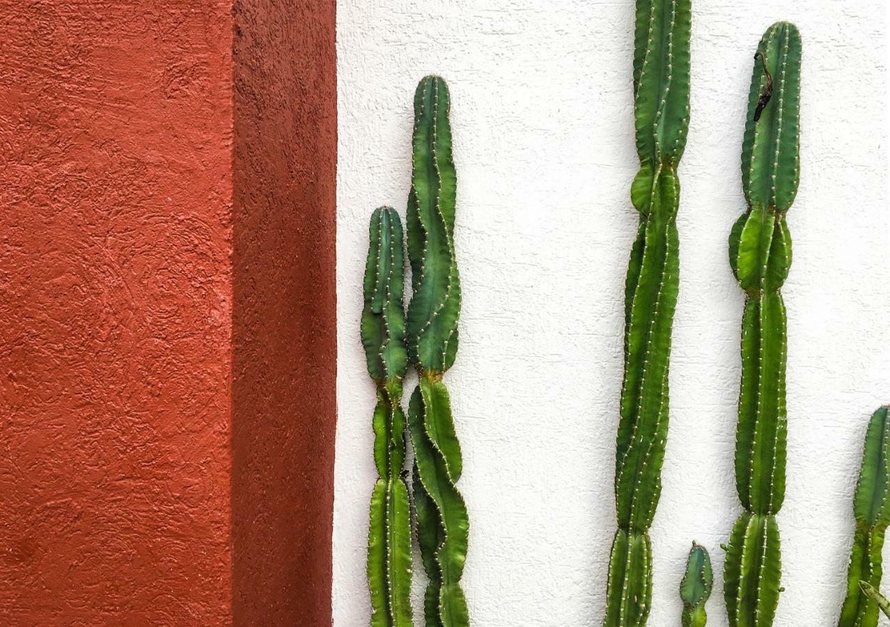 Cactus House *
